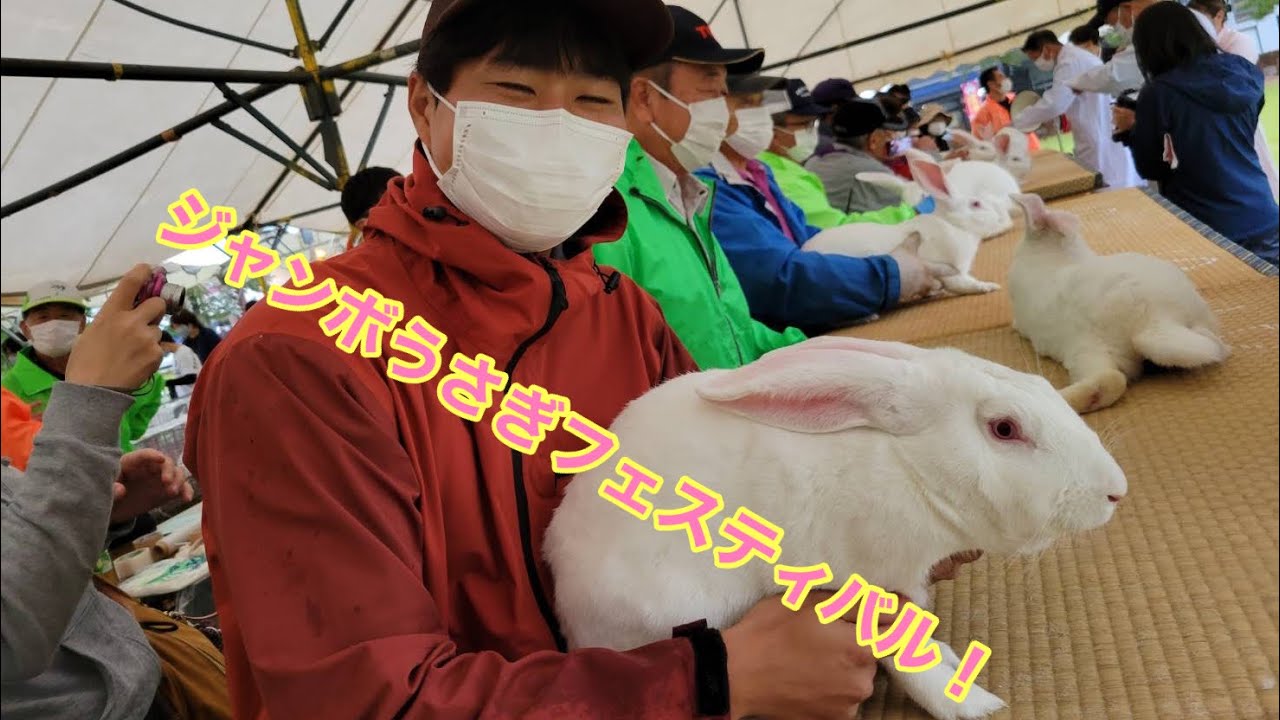 ジャンボうさぎフェスティバル行ってきました‼️
