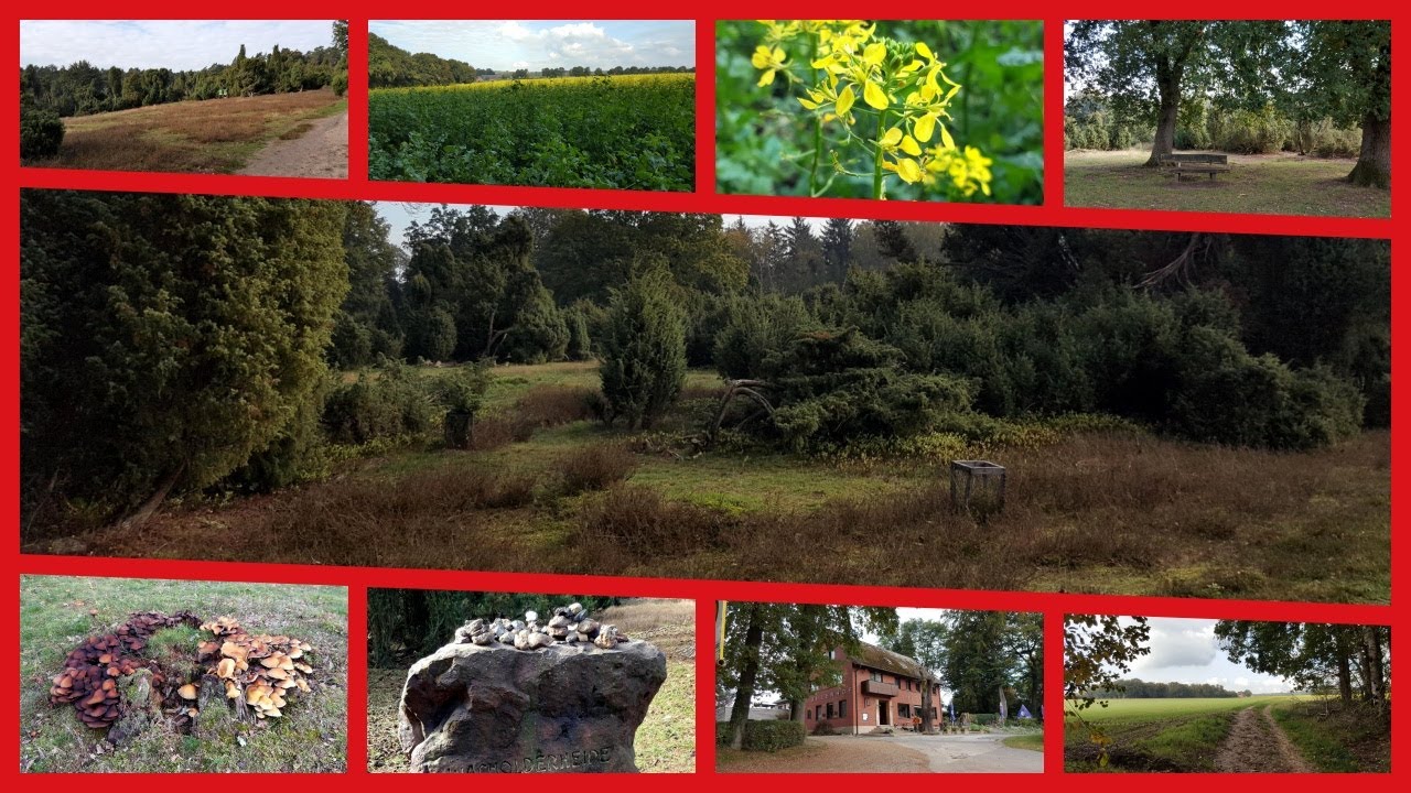 #39 - Wacholderheide (Haltern-Holtwick)