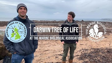Darwin Tree of Life Project at the MBA: Genome Sequencing of 1,800 Marine Species!