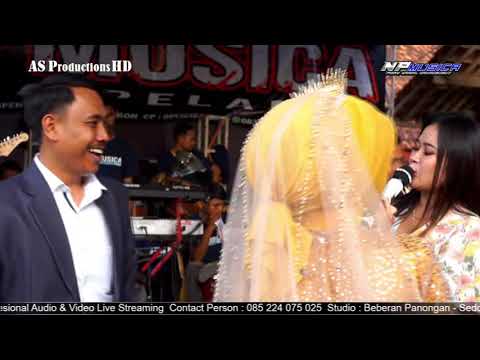 MIDUA CINTA NELLY NP MUSICA Live Beber