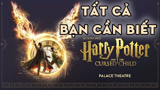 Tất Cả Những Gì Cần Biết Về Harry Potter Phần 8? - Tóm Tắt The Cursed Child Harry Potter Series