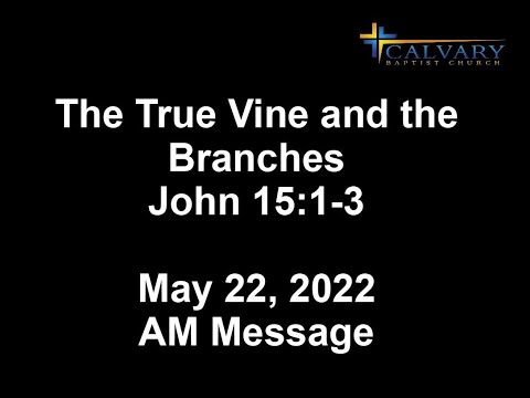 The True Vine and the Branches