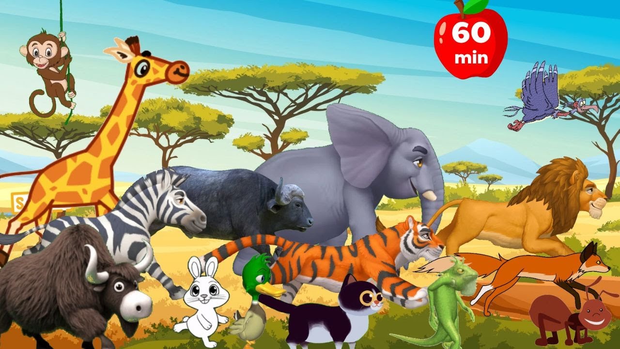 Animal ABC Songs & Safari Animal Sounds Songs Compilation (1 hour) | Nursery Rhymes Animal ABC Songs & Safari Animal Sounds Songs Compilation (1 hour) | Nursery Rhymes