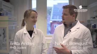 FSCN research in KM2 – large-area functional surfaces