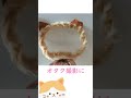 ライブ前プリとかライブ会場外撮影に!空も写して♡ふわふわ折れ耳ねこうちわ[オタク]