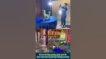Số hoá 3D bằng phương pháp quét 3D  laser xanh cầm tay kết hợp Photogrammetry #shorts #sohoa3d