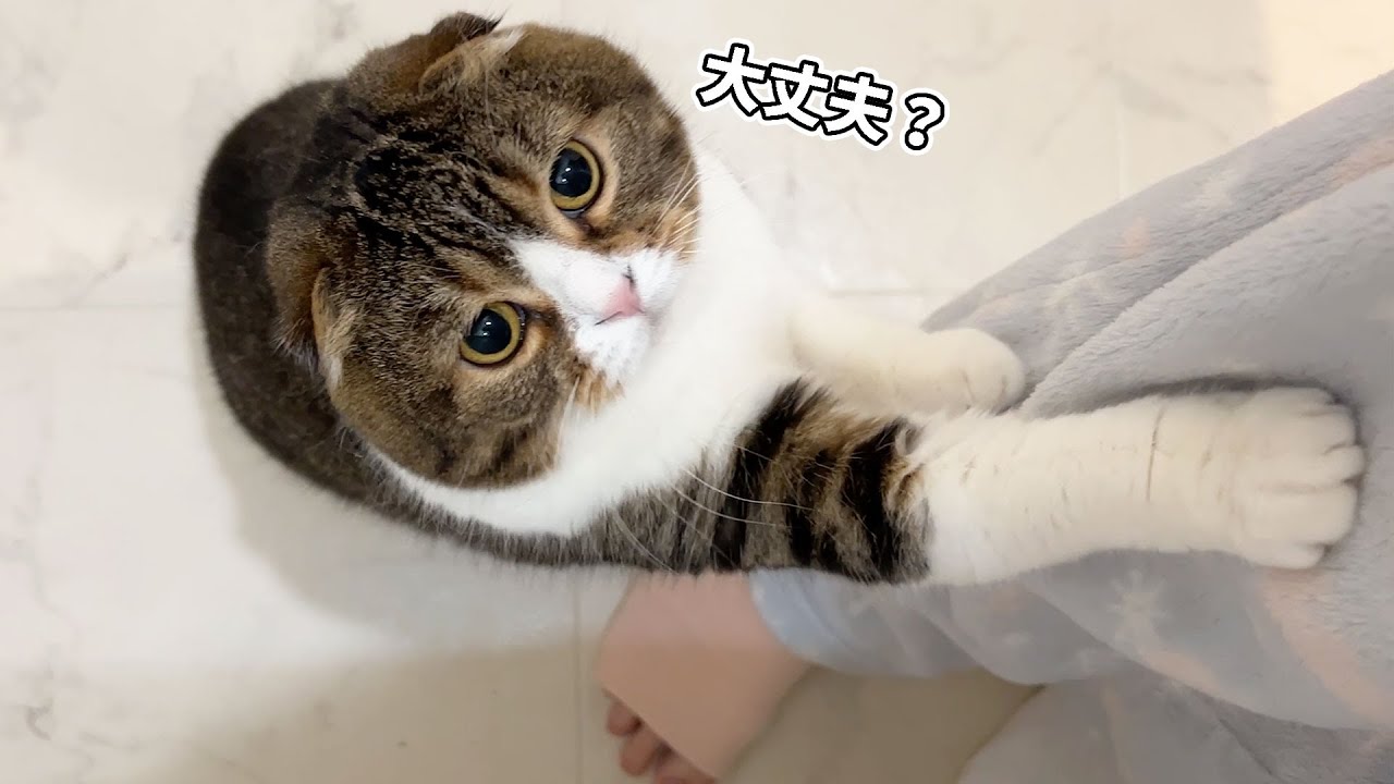 ねこずく★フォロー割引 どうぶつ基金 | ＼ちきゅう部だより／ ダメ！野生動物の餌付けと