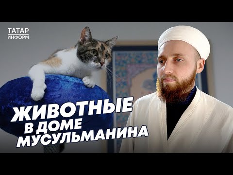 Хазрат о животных в доме