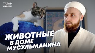 Хазрат О Животных В Доме