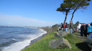 Crescent City Tsunami 3-11-2011