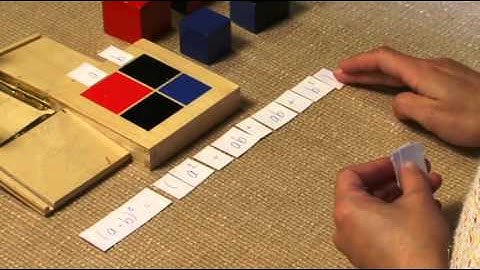 Algebraic Expression of the Binomial Cube (Montessori Elementary Math)