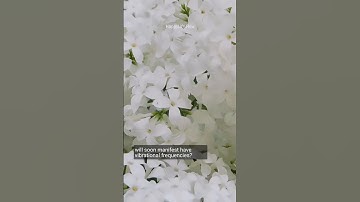 Abraham Hicks: The Secret Behind YOUR Vibrational Frequency