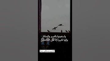 ارح سمعك #المصحف #تلاوة_خاشعة تريح الأعصاب 🎧♥️#القارئ :مصطفى جبل
