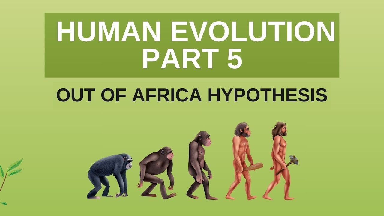 HUMAN EVOLUTION PART 5 | OUT OF AFRICA HYPOTHESIS - YouTube