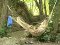 Частина дитячого телефізійного фільму Все можуть королі Крим 