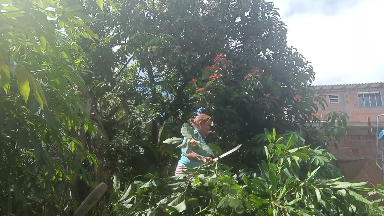 27 de fevereiro de 2026