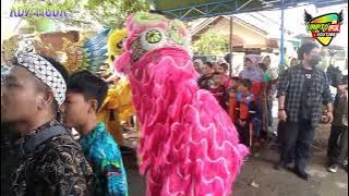 barongsai burok Ady muda live losari brebes