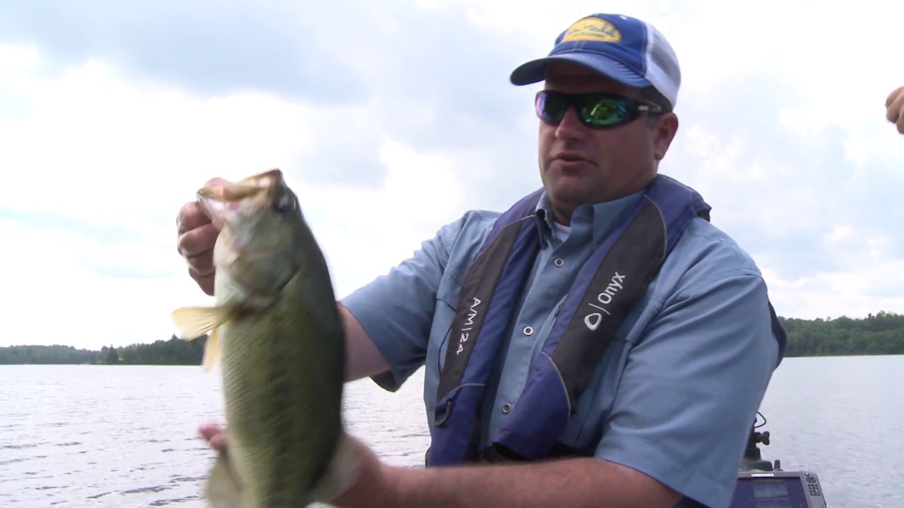 Leech Lake Area Largemouth Bass