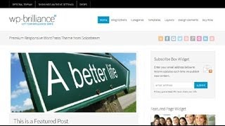 Premium Magazine Style Wordpress Theme with Clean Design
