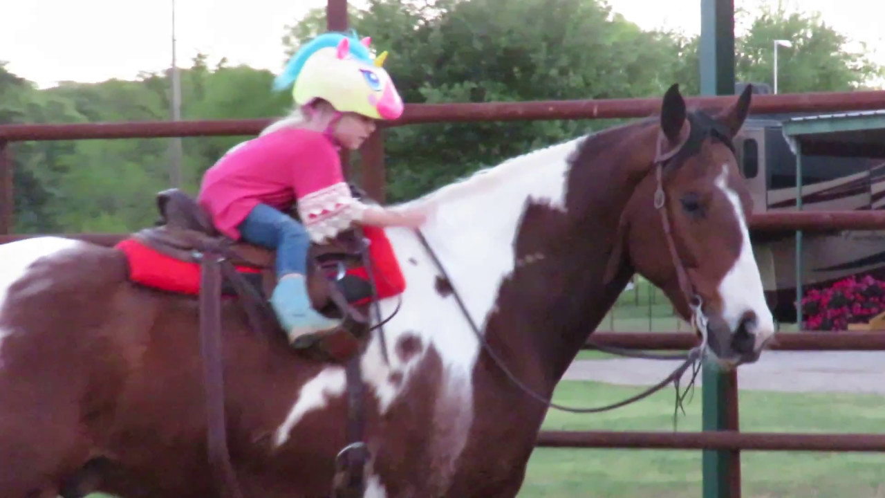 Fancy Dare Devil - RIDING 2 - dead broke babysitter - cutter - turnback ...