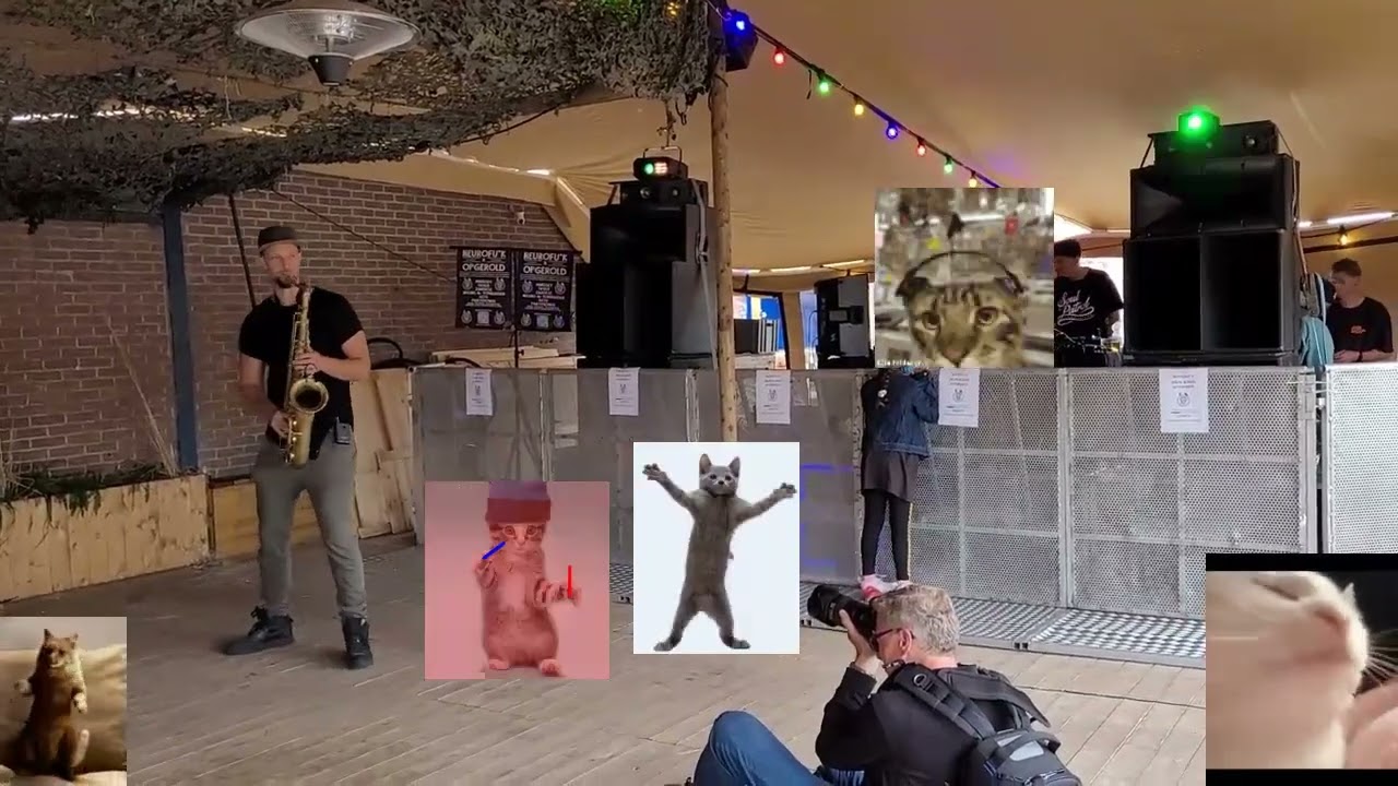 Cat Rave in Delft, Netherlands - YouTube