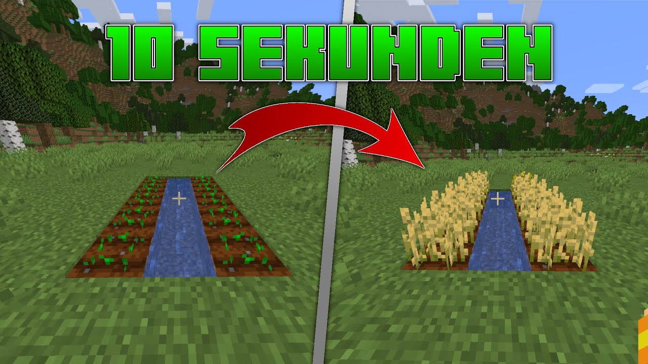 Minecraft: So WACHSEN Eure Sachen SCHNELLER (SOFORT Fertig) - YouTube