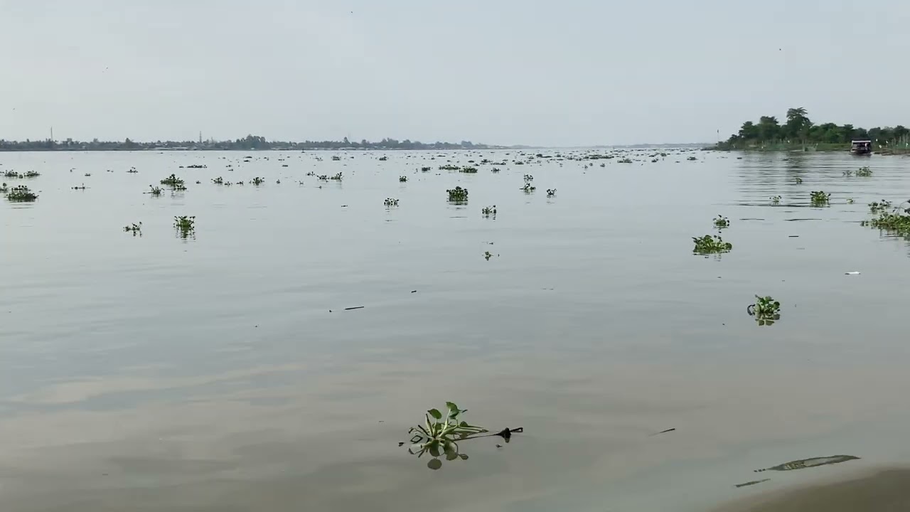 Sông Tiền 2026 P1 #mientay #mientaysongnuocqueta #nhatky #cuocsongmy #nhatkycuocsong