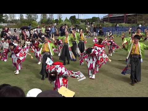 「七福よさこい連 祝禧」 第4回横浜よさこい祭り2019  新港中央広場会場ステージ