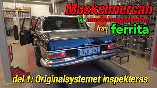 Muskelmercan får Ferritasystem!