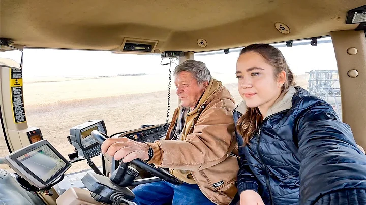 Harrowing Stories with Darcy!  Montana Farming 2022