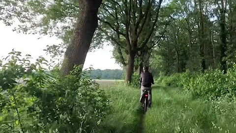 Spannend fietspad in Drenthe tussen Sleen en Zweeloo.#fietstocht #nederland #drenthe