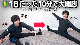 【身体が硬い方向け】毎日たった10分で開脚が出来るようになるストレッチをプロと一緒にやろう‍♀