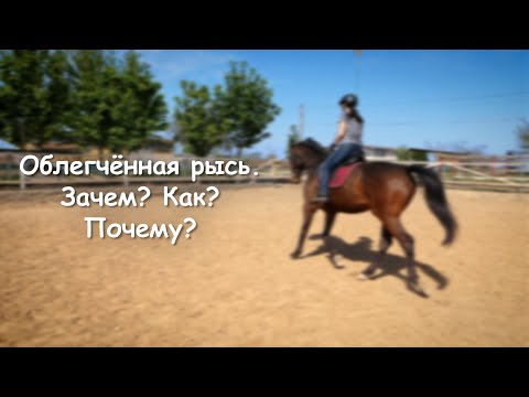 Облегчённая рысь. Зачем? Как? Почему?