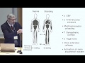 Dr. Blair P. Grubb, MD, Cardiovascular Medicine: Autonomic Dysfunction & Chronic Fatigue in EDS