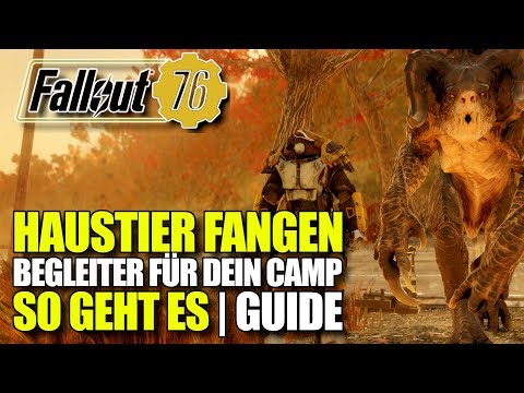 Video: Fallout 76, Um Haustiere Hinzuzufügen