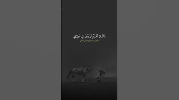 سورة الشعراء || القاري عبدالله الموسى 🤍🤍 #قرآن #اكسبلور