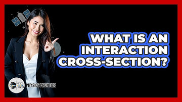 What Is an Interaction Cross-Section?