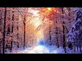 Beautiful Snow Scene - Winter Scene - Relaxing Piano Sleep Music: Meditation, Study & Spa Music #31