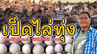 เลี้ยงเป็ดไข่ไล่ทุ่ง รายได้เดือนละ100,000 บาท ‼️ลงทุน 80,000 ขาย 1-2 เดือน คืนทุน‼️