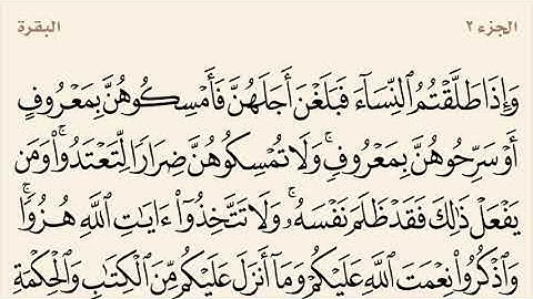 سورة البقرة مكررة من آية 231 إلى 233 القارئ وديع اليمني