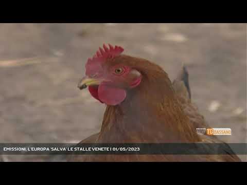 EMISSIONI, L'EUROPA 'SALVA' LE STALLE VENETE | 01/05/2023