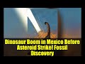 Dinosaur Boom in Mexico Before Asteroid Strike! Fossil Discovery