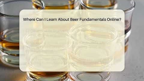 Where Can I Learn About Beer Fundamentals Online? | The Pint Guy
