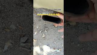 WHY IS MY CAR BURNING OIL!!! #automotiveelectronics #automobile