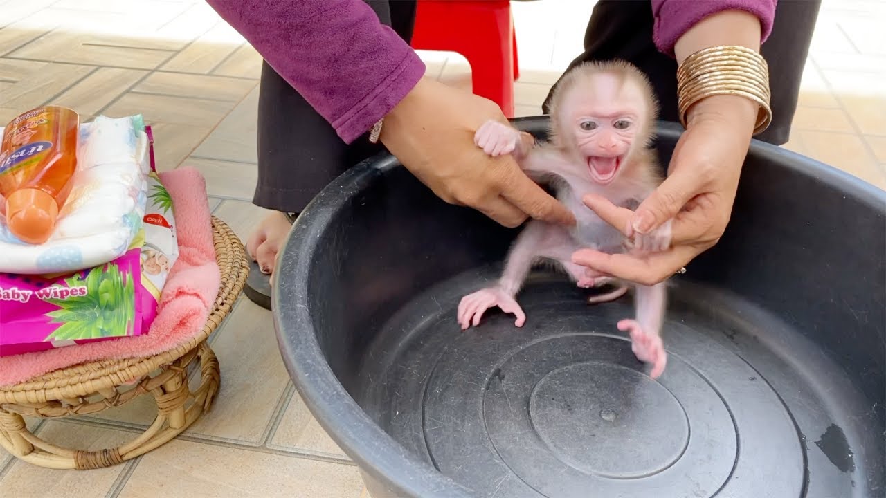 Tiny B Tauch Seems Deny To Give Mom Clean His Old Diper