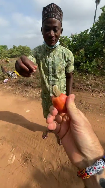 Cashew Apple in Ghana! King Of Exotic Fruit! 🇬🇭