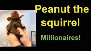 Penuat The Squirre Cryptol Gets A Bullish Growth From Elon Musk And Made People Rich Today