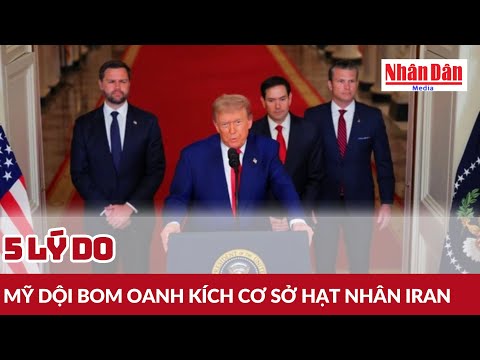 5 lý do