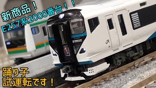 「模型」新車です！E257系2000番台っ！！