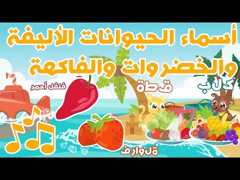 Learn Pets, Fruits and Vegetables | أسماء الحيوانات الأليفة والخضروات والفاكهة